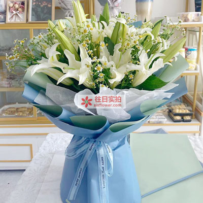 鄂州8支白色多头百合洋甘菊,互倾的思念
