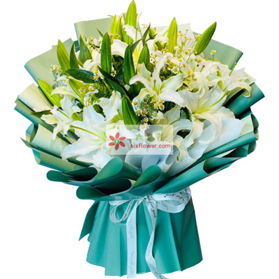 鄂州8支白色多头百合洋甘菊，如潮的思念